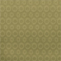 Allegro Kiwi